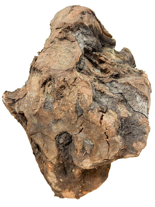 Briar, European Pipe-making Burl XL - 14.5" x 12" x 10" WE1127