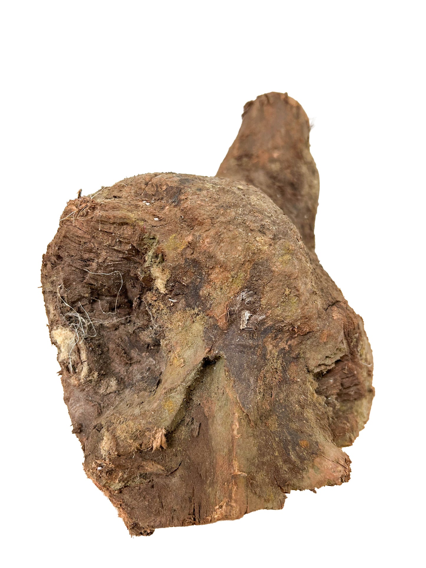 Briar, European Pipe-making Burl - 10" x 6" x 6" WE1137