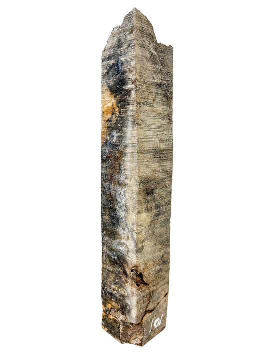 Stabilized Buckeye Burl - 11" x 2" x 1.75" WE1339