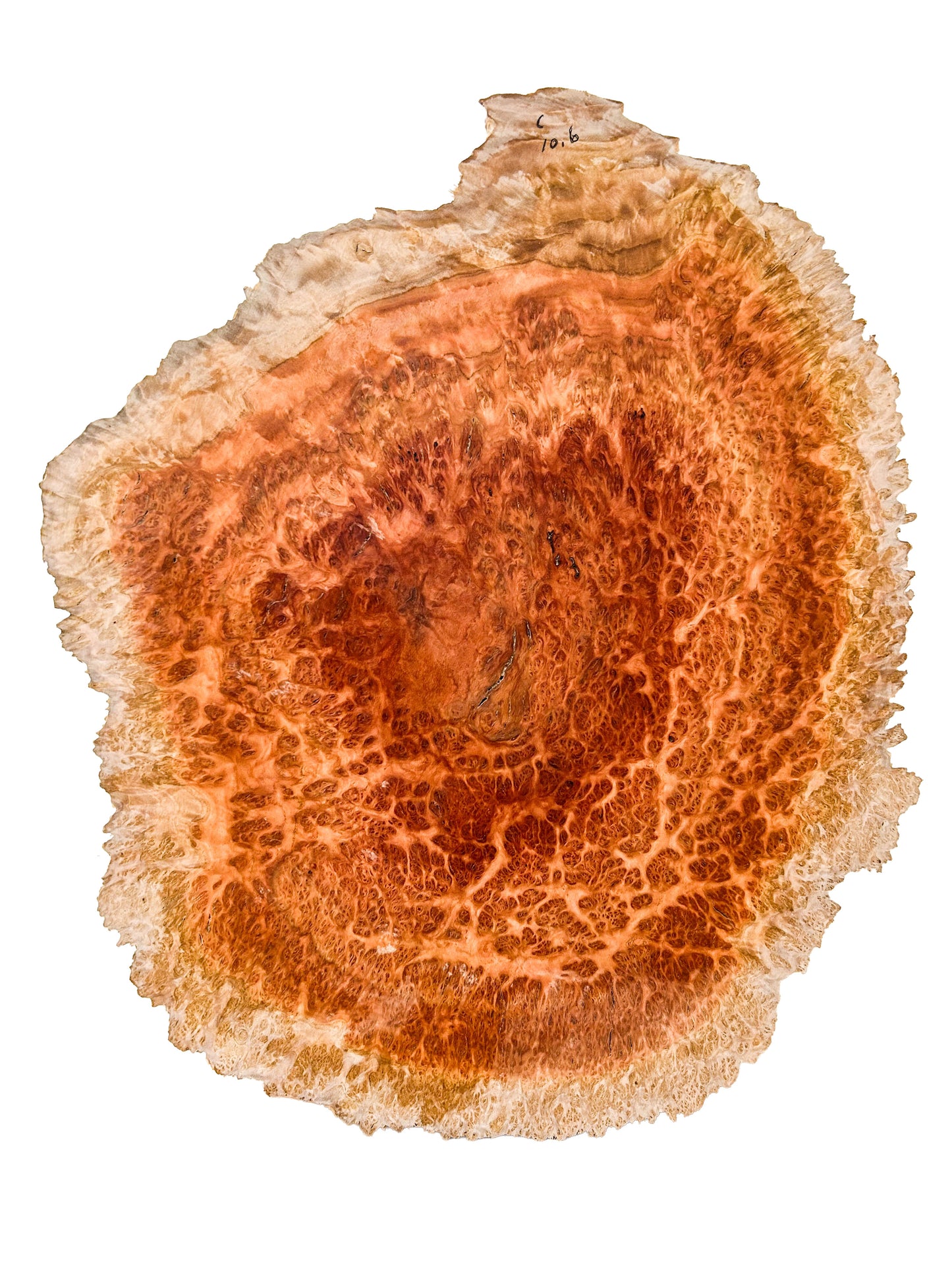 Eucalyptus, Aussie Concinna Burl Platter/Charcuterie Board - 15"x 13"x 1" WE1354