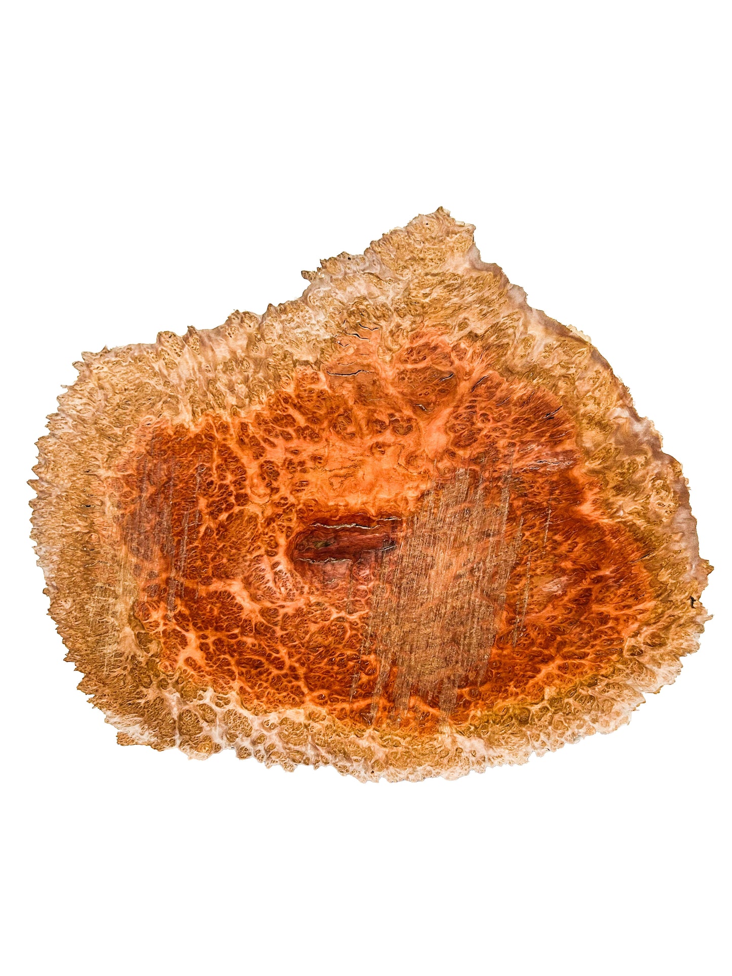 Eucalyptus, Aussie Concinna Burl Platter/Charcuterie Board - 14"x 11"x 1" WE1356
