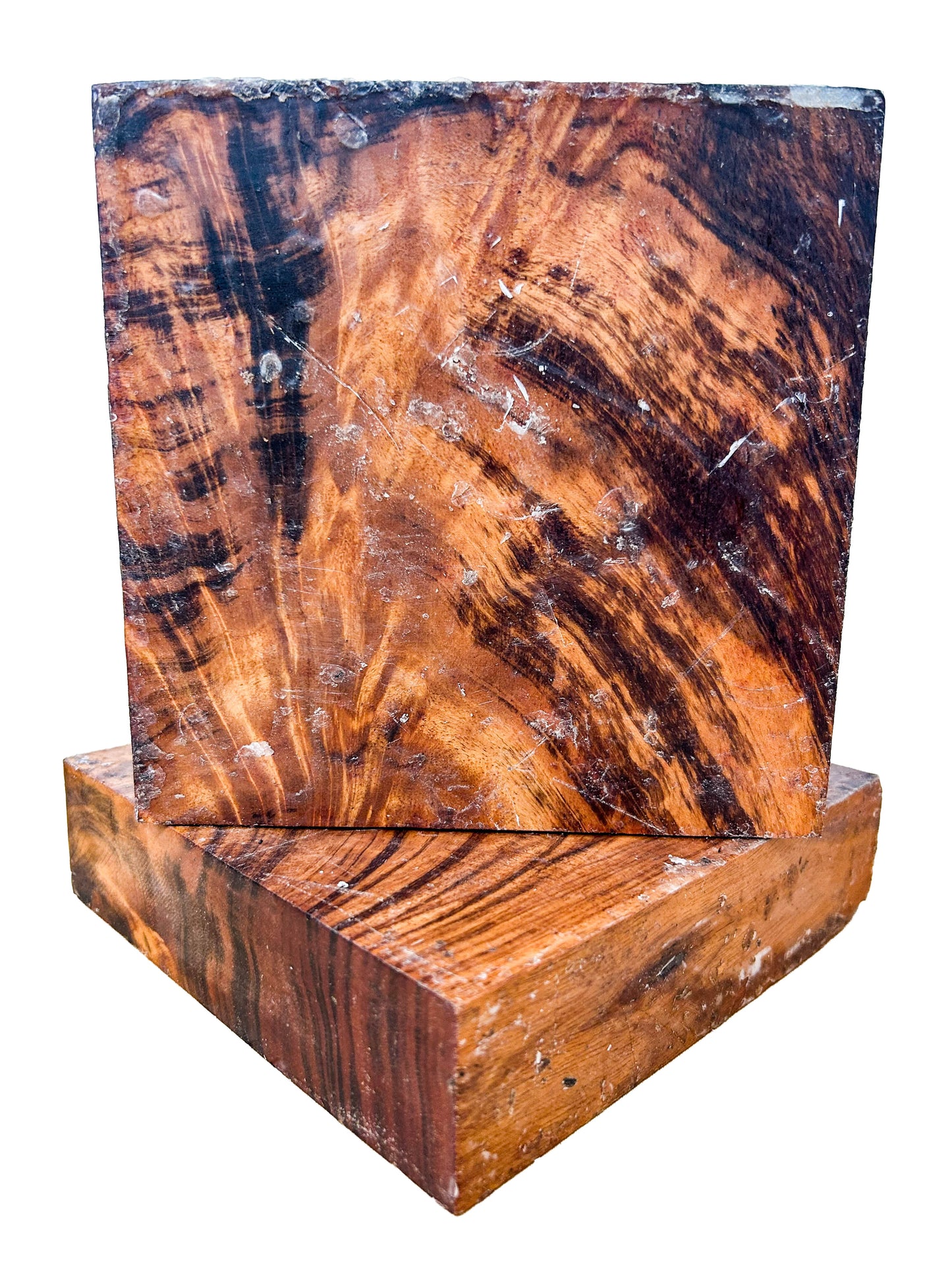 Goncalo Alves/Tigerwood CROTCH Figure Bowl Blank - 6" x 6" x 1.5" WE1434