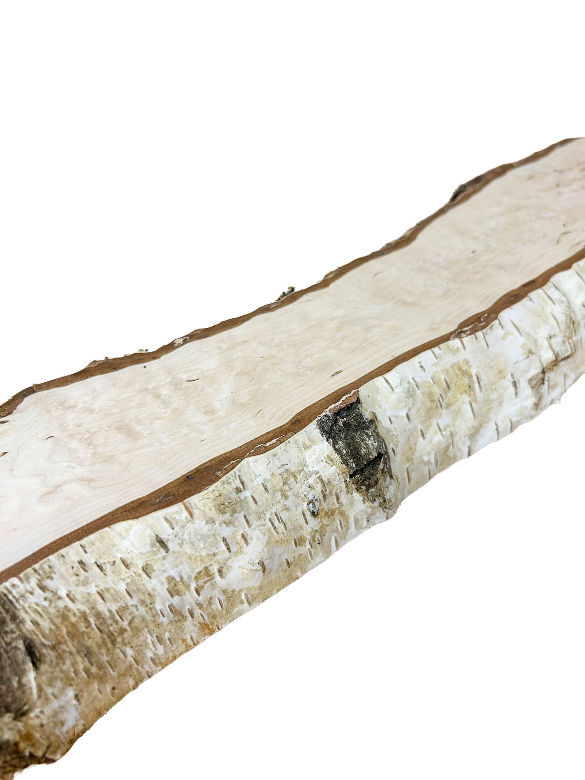 Birch, Masur/Karelian Live Edge- 25" x 5.25" x 1-7/8" WE1516