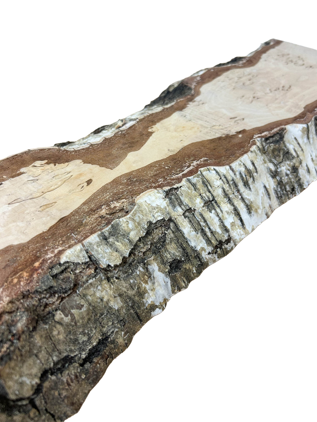 Birch, Masur/Karelian Live Edge- 27.5" x 8.5" x 1-7/8" WE1519