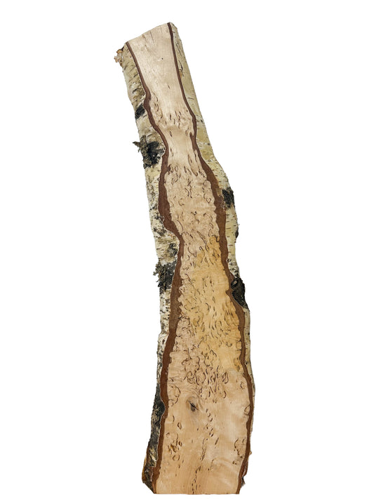 Birch, Masur/Karelian Live Edge HIGH FIGURE - 22.25" x 4.25" x 1-1/8" WE1521