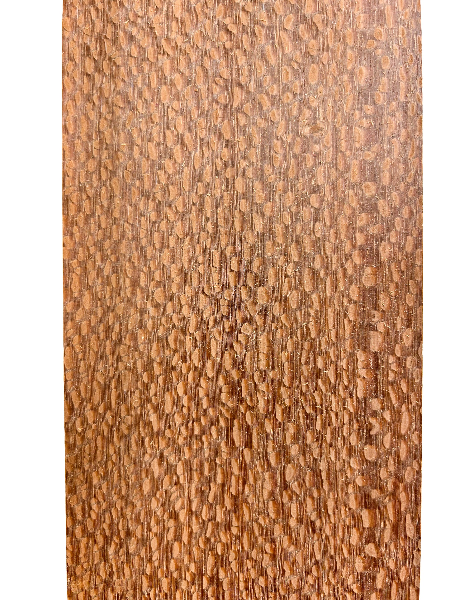 Leopardwood - 24"x 4"x .75" WE424