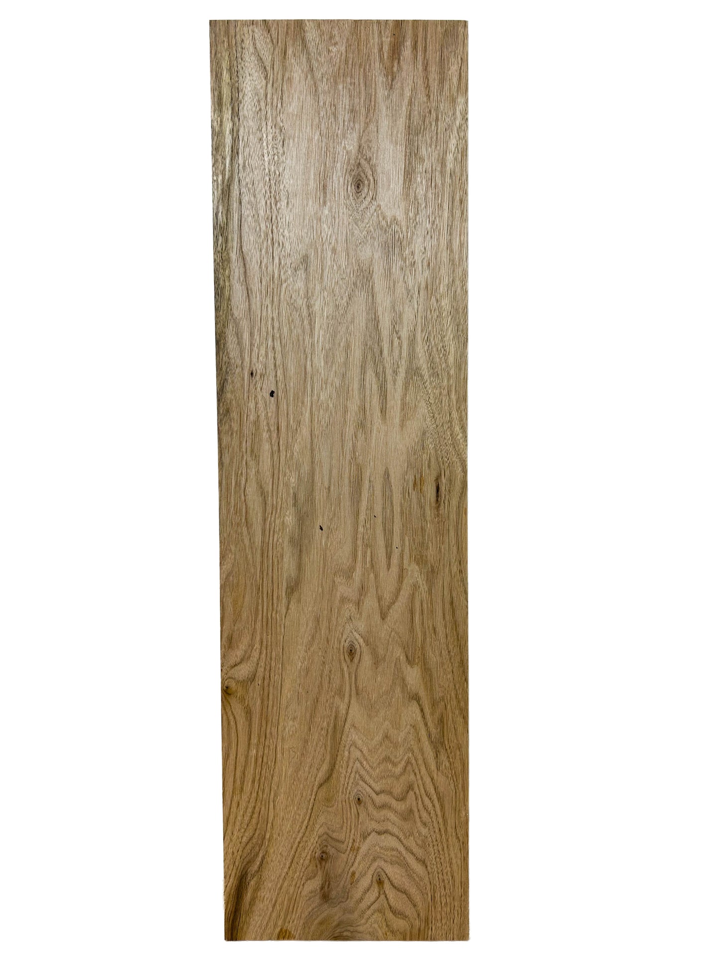 Butternut lumber board - 32" x 8.75" x 3/4" - WE532