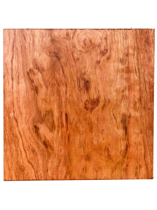 Bubinga Figured Platter/Bowl Blank - 11.75" x 11.75" x 2-7/8" - WE533