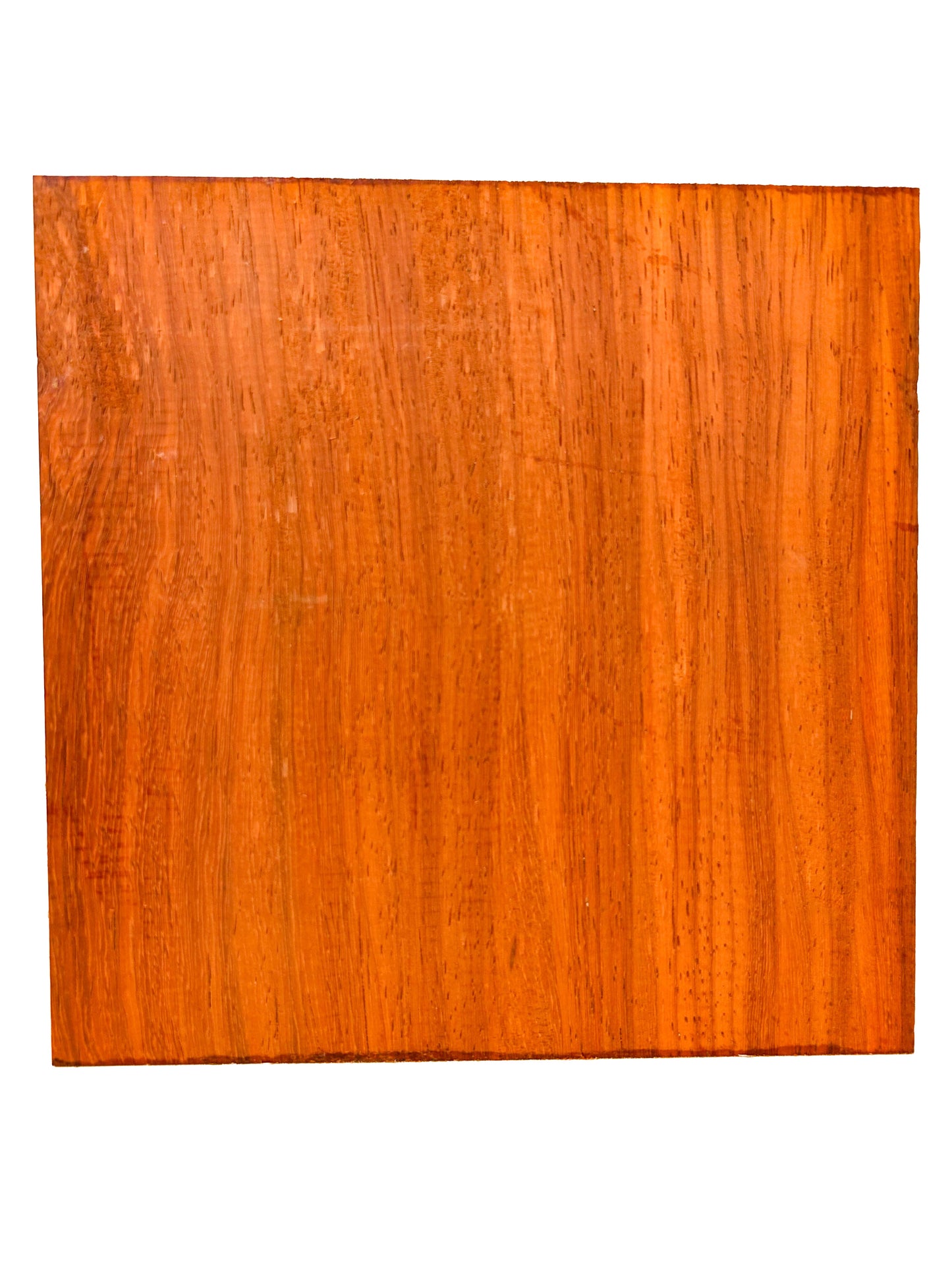 Padauk, African 12/4 Vibrant Platter/Bowl Blank - 8.75" x 8.75" x 2-7/8" - WE356