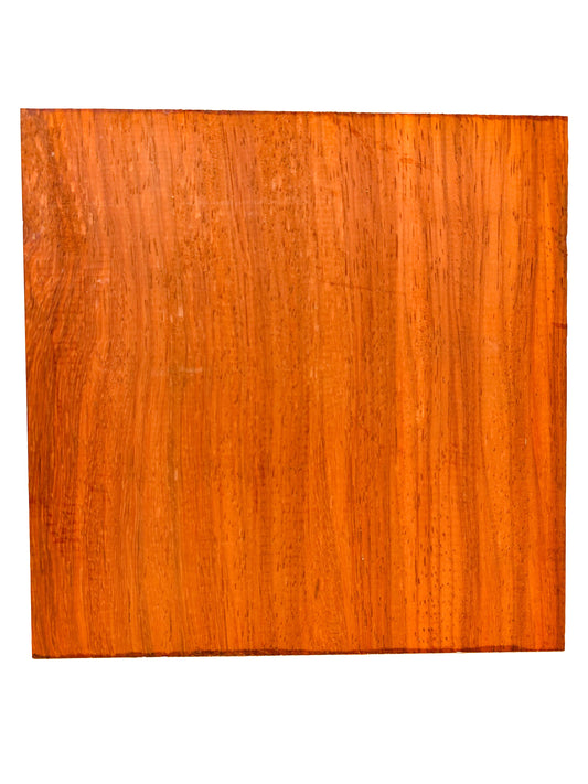 Padauk, African 12/4 Vibrant Platter/Bowl Blank - 8.75" x 8.75" x 2-7/8" - WE356