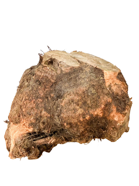 Briar, European Pipe-making Burl - 10" x 8" x 8" WE539
