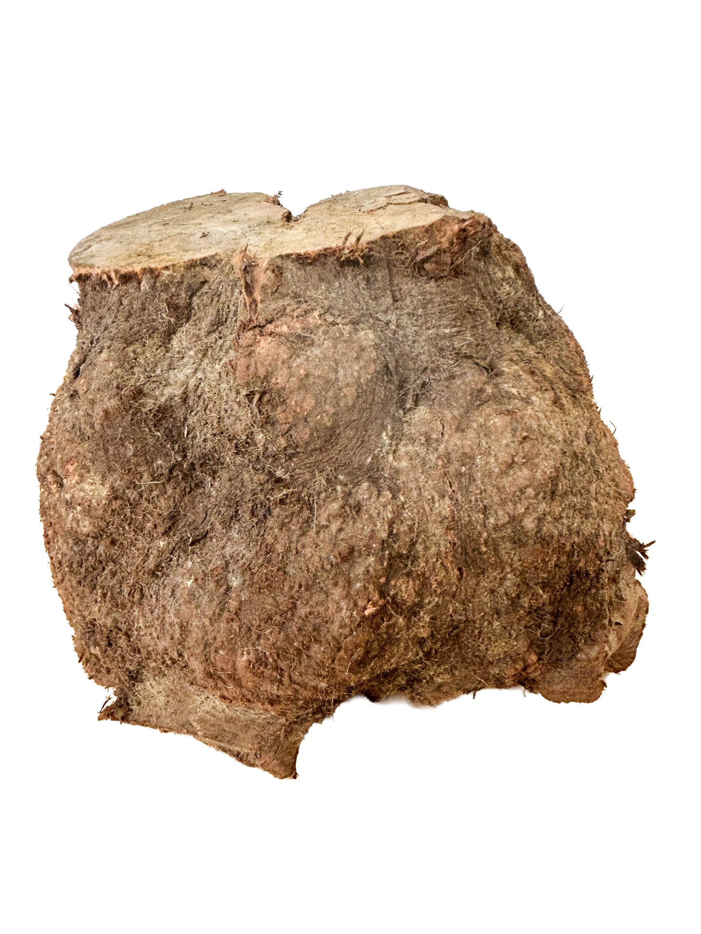 Briar, European Pipe-making Burl - 10" x 8" x 8" WE539