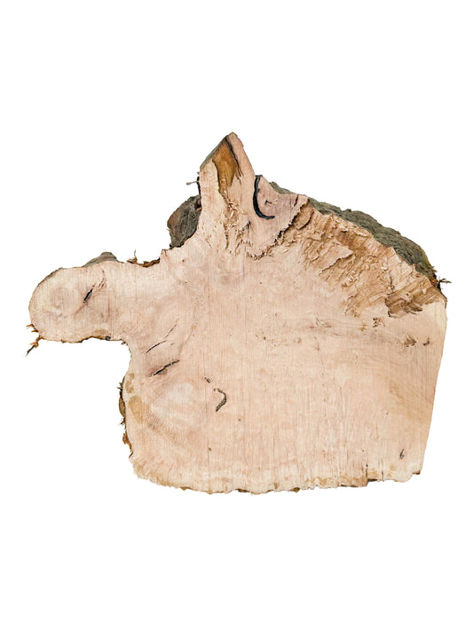 Briar, European Pipe-making Burl - 6" x 5" x 4" WE541