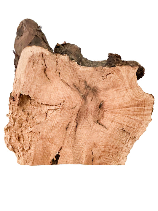 Briar, European Pipe-making Burl - 6.5" x 6" x 3.5" WE544