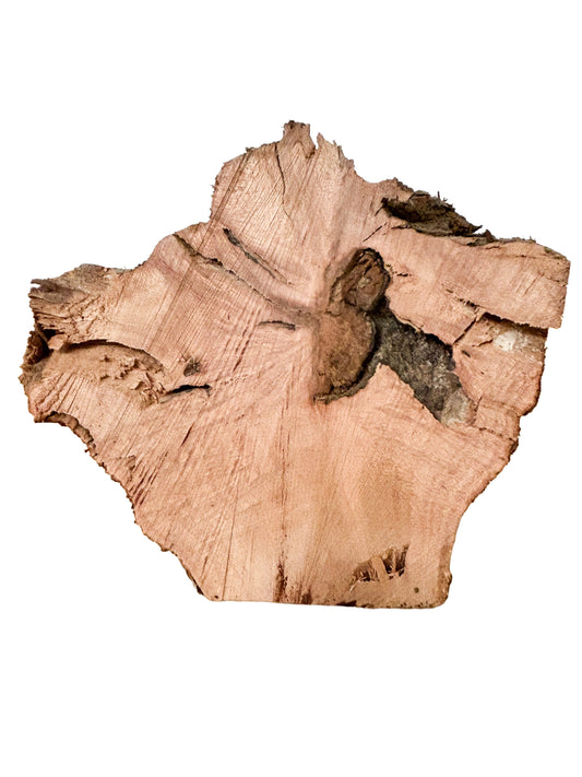 Briar, European Pipe-making Burl - 7" x 5" x 5" WE545