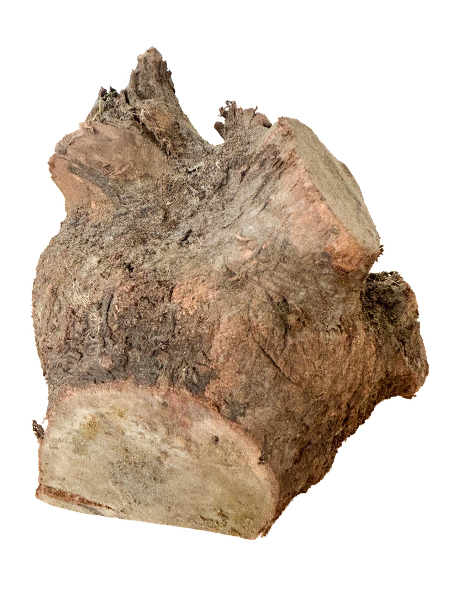 Briar, European Pipe-making Burl - 7" x 5" x 5" WE545