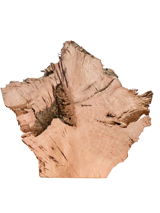 Briar, European Pipe-making Burl - 6.5" x 6.5" x 2.75" WE547