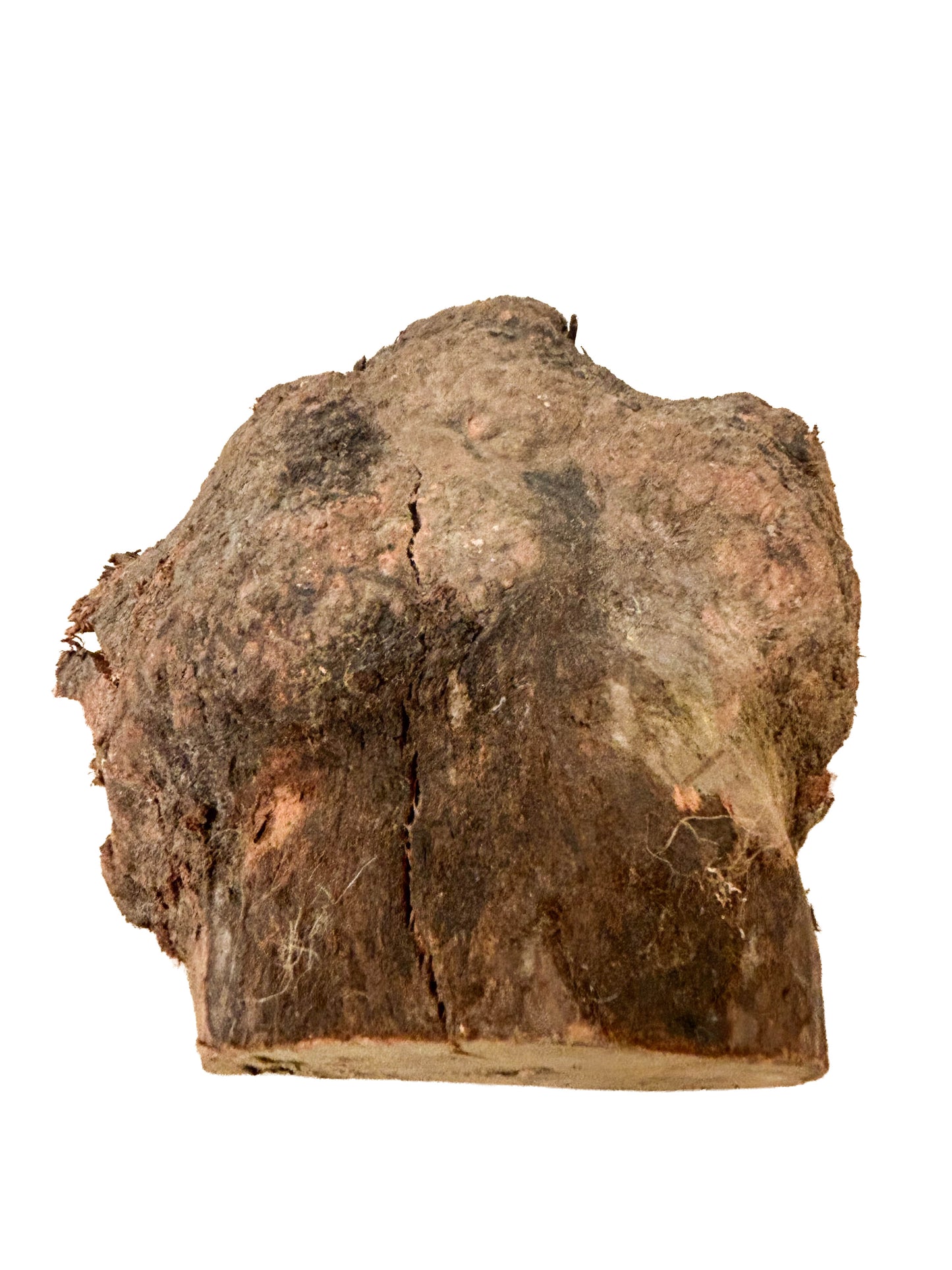 Briar, European Pipe-making Burl - 6.5" x 6.5" x 2.75" WE547