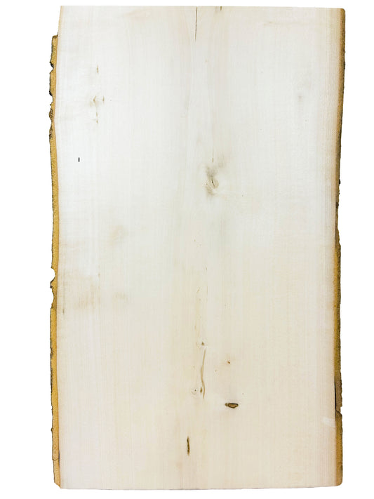 Holly Live Edge board - 23.75" x 14.5" x 3/4" - WE571