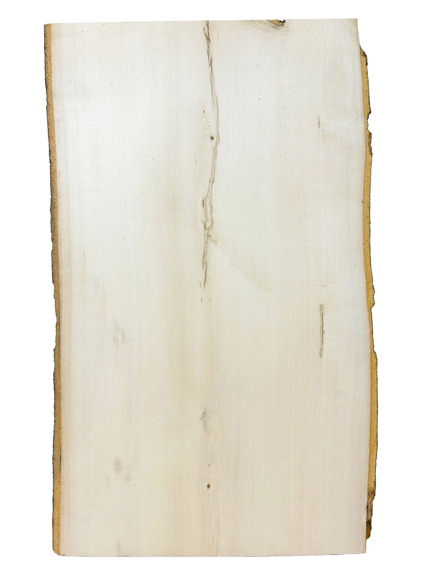 Holly Live Edge board - 23.75" x 14.5" x 3/4" - WE571