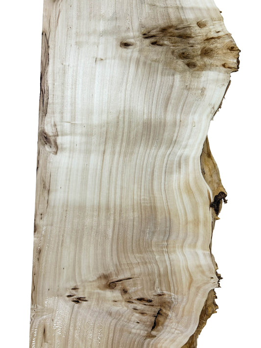 Mappa, European LIVE EDGE Burl - 43" x 10.5-12.5" x 3/4" WE573