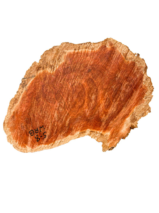 Australian Western Red Burl Cap/Bowl Blank - 15" x 10" x 3.25" WE604