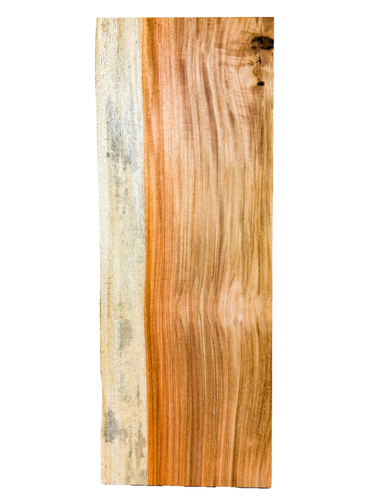Canary, Red/Macacauba 6/4 Live Edge Slabs - 24"x 9" x 1.5" - WE710