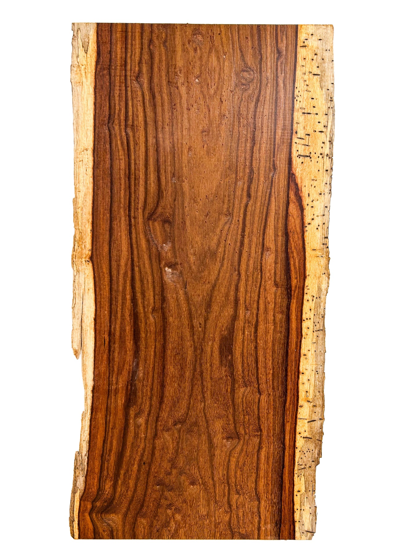Hormigo Live Edge Slab - 24"x 11"x 7/8" - WE719