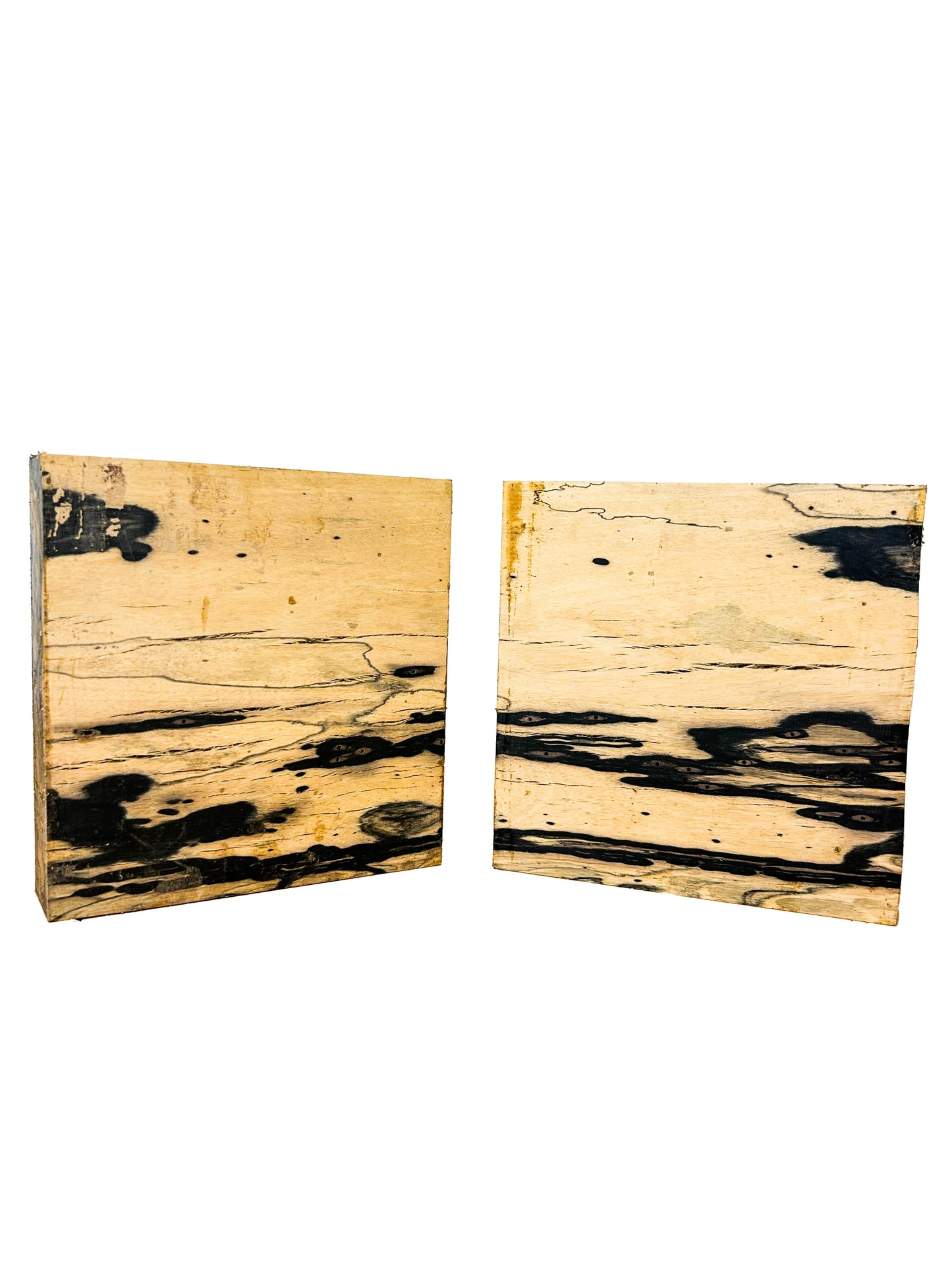 Ebony, Black & White/Pale Moon Striking Bowl Blank - 8.5" x 8.25" x 2" WE800