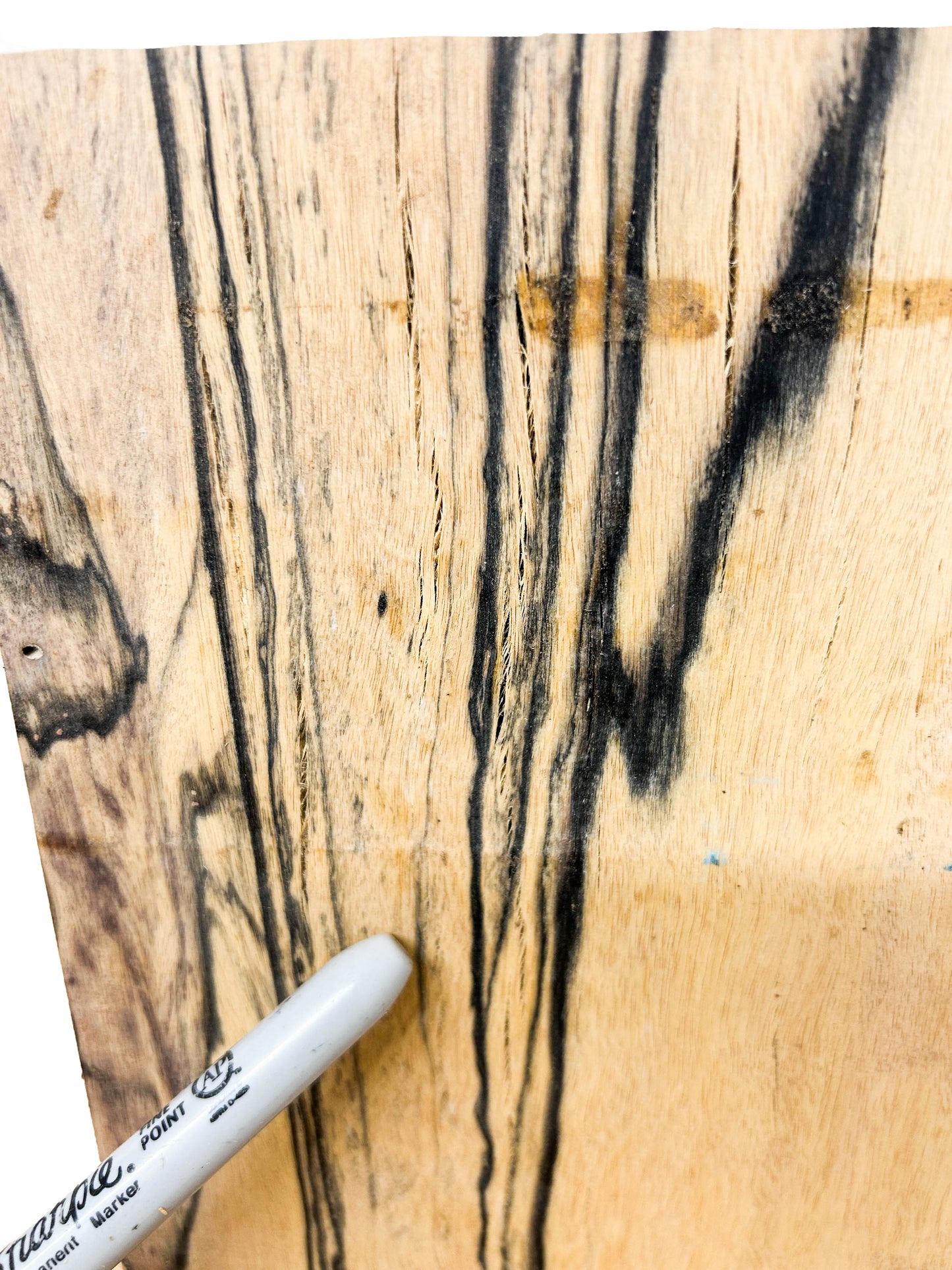 Ebony, Black & White/Pale Moon Striking lumber - 12" x 6.5" x 2" WE811