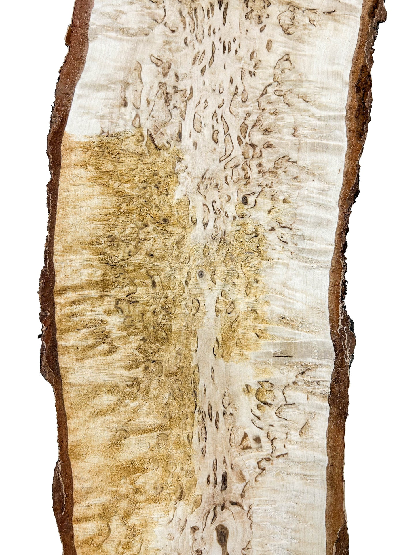Birch, Masur/Karelian Live Edge- 33" x 5-6.25" x 1.75" WE817