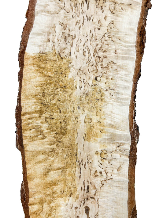 Birch, Masur/Karelian Live Edge- 33" x 5-6.25" x 1.75" WE817