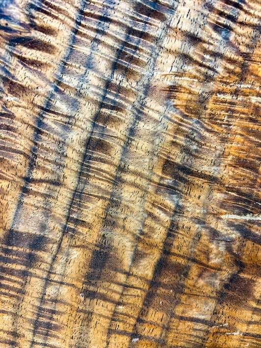 Walnut, Bastogne HIGH FIGURE bowl blank/platter - 11.5"x 11.5" x 2-7/8" WE837