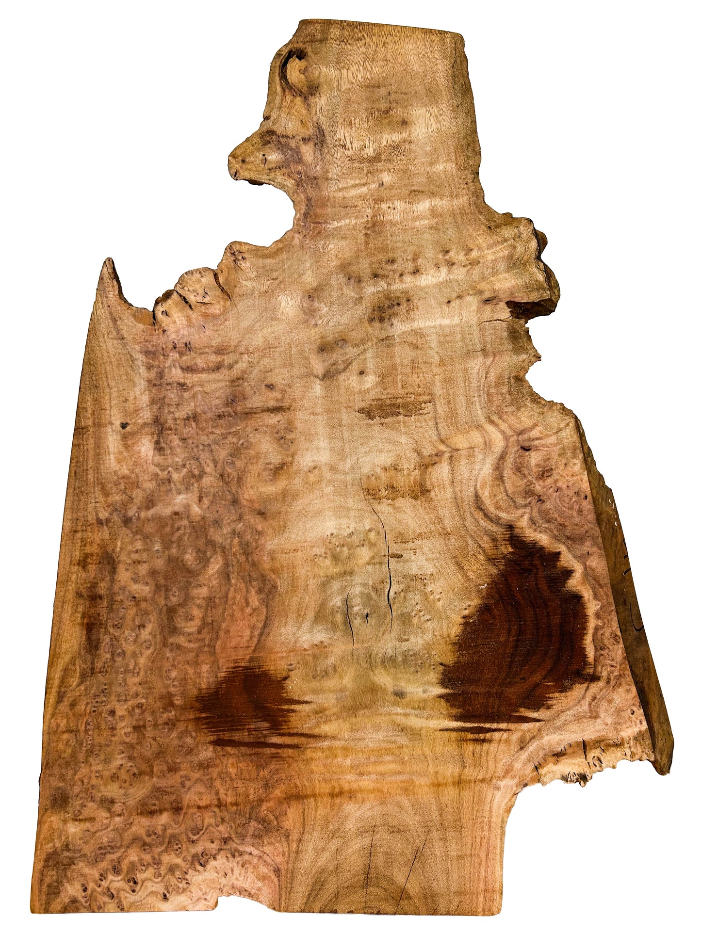 Camphor Burl Platter/Slice - 24" x 16" x 1.25"  WE840