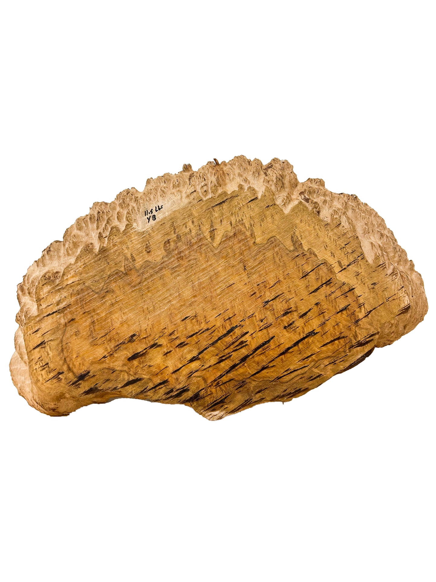Eucalyptus, Aussie Yellow Box Burl Platter/Charcuterie Board - 23"x 13"x 1.25" WE864