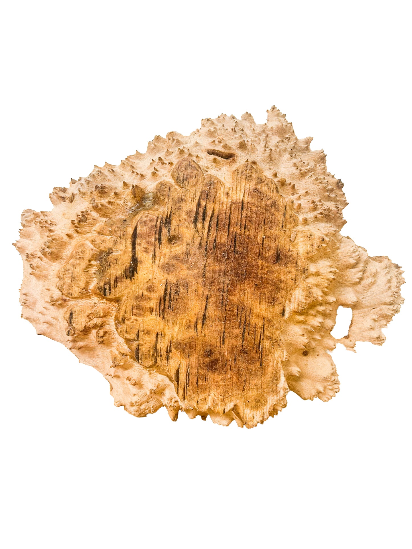 Eucalyptus, Aussie Red Mallee Burl Platter/Charcuterie Board - 10"x 8"x 1-1/8" WE908