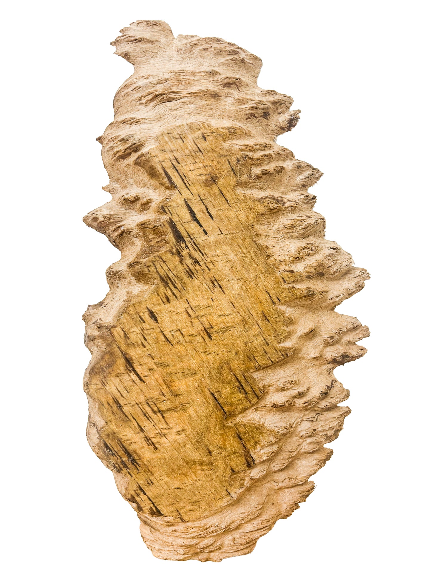 Eucalyptus, Aussie Yellow Box Burl Platter/Charcuterie Board - 14"x 7"x 1" WE909