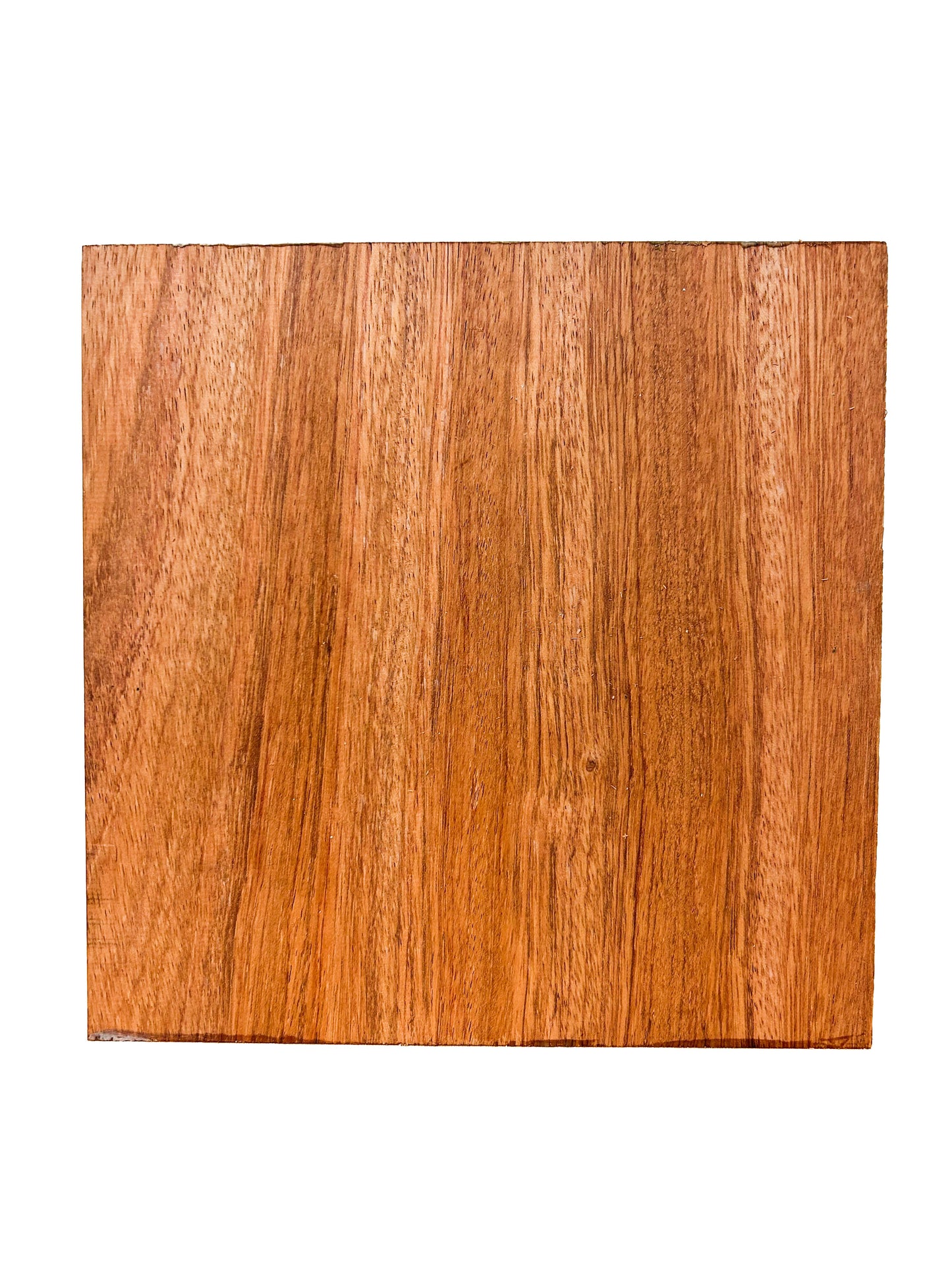 Bubinga, Thick Stock Bowl Blank - 8" x 8" x 4" WE931