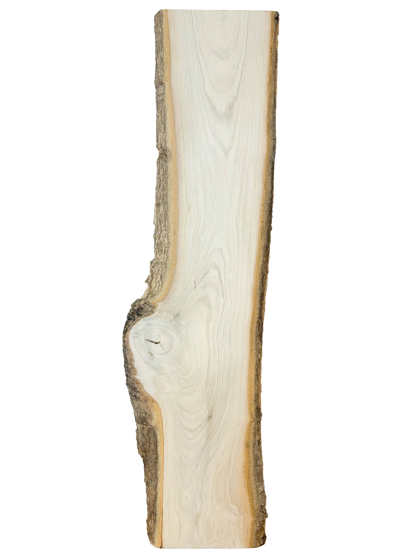 Holly Live Edge board - 38" x 8-10" x 3/4" - WE933