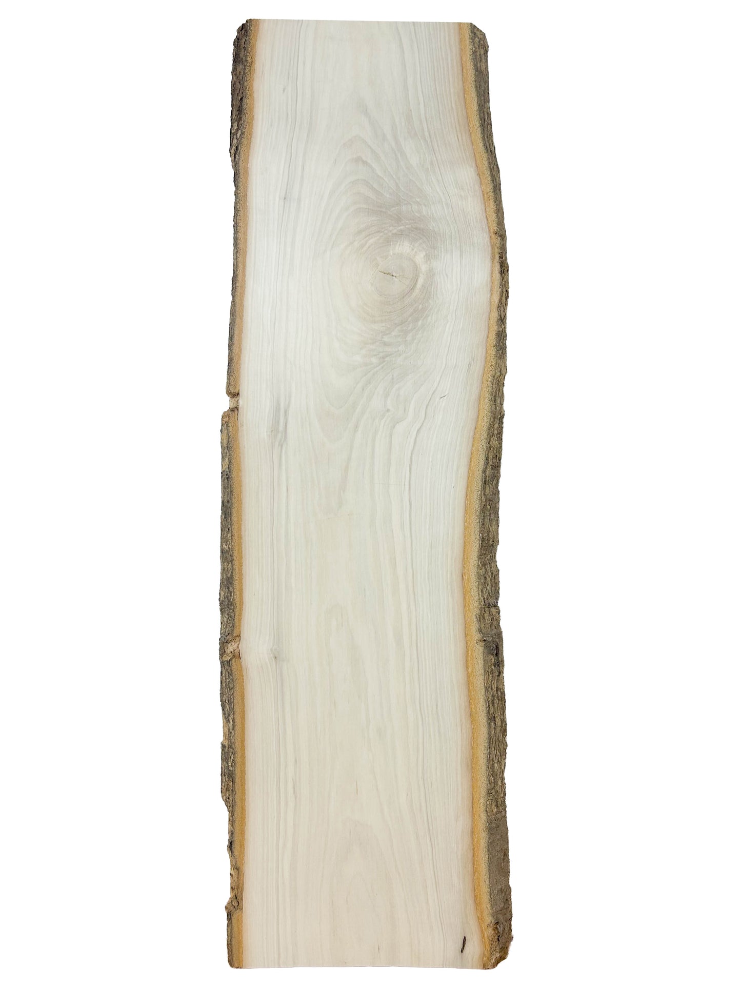 Holly Live Edge board - 37" x 9-11" x 3/4" - WE934