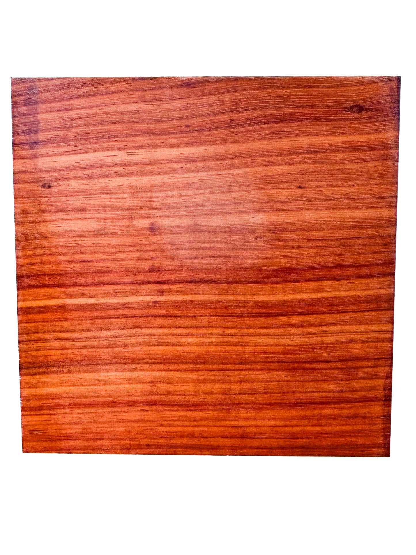 Padauk, African 16/4 Vibrant Bowl Blank - 9.75" x 9.75" x 4" - WE942