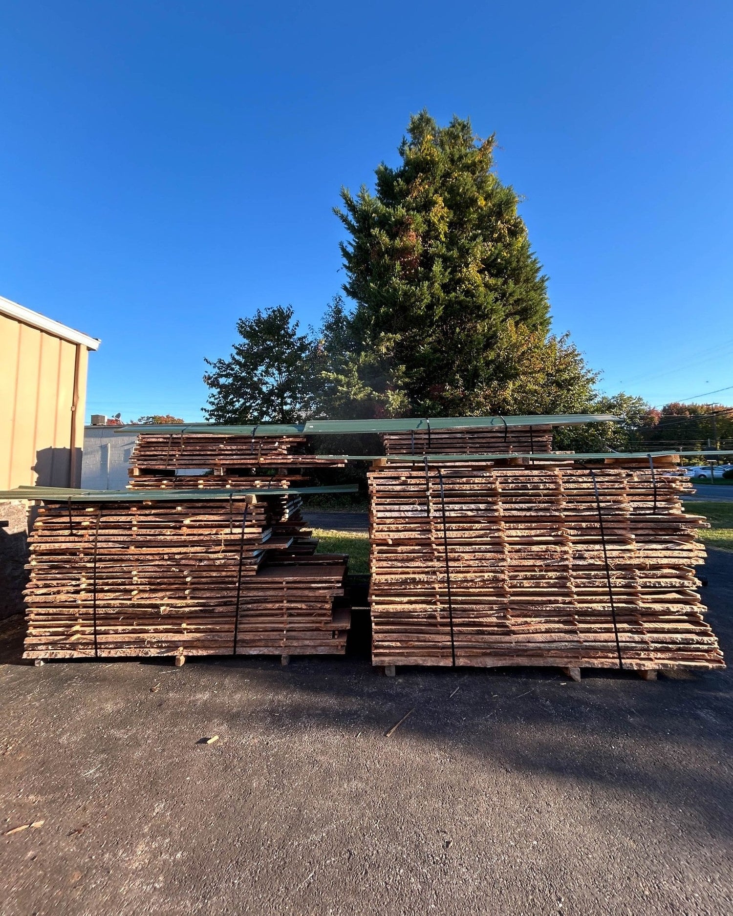 Wood Slabs