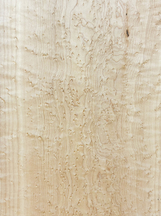 Maple Birdseye Figured/CURLY Board - 24" x 9" x 3/4" WE1021