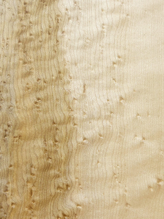 Maple Birdseye Figured/CURLY Board - 36" x 5" x 3/4" WE1022