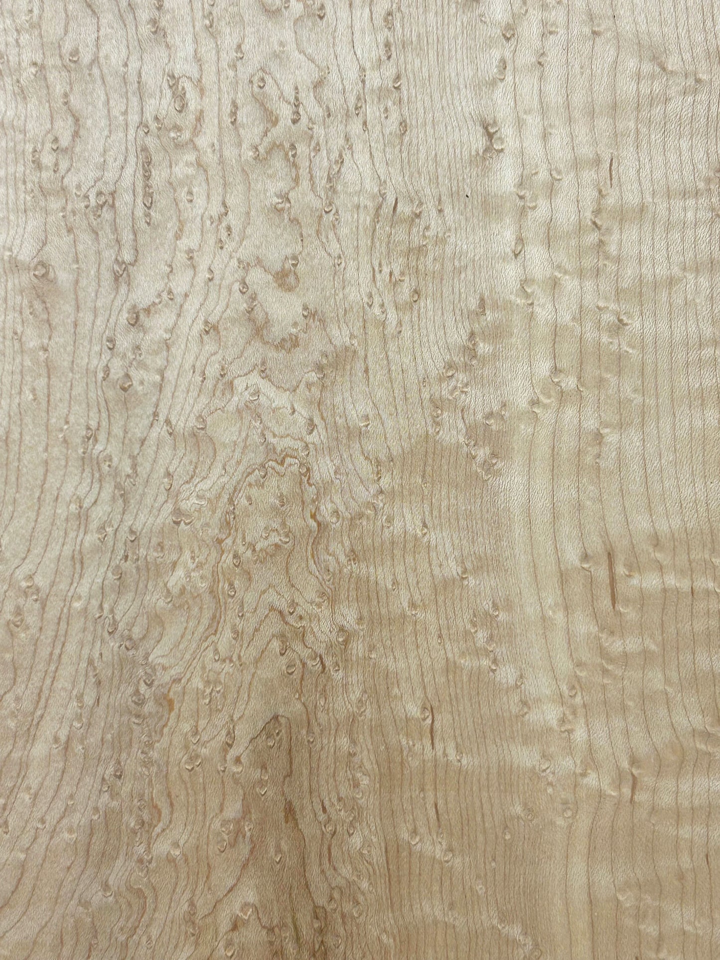 Maple Birdseye Figured/CURLY Board - 24" x 7" x 3/4" WE1024