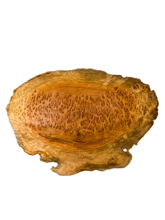 Australian Coolibah Burl Cap/Bowl Blank - 10" x 7" x 2-7/8" WE1036