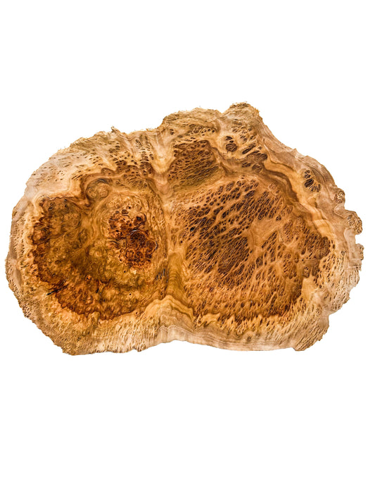 Australian Bimble Box Burl Cap/Bowl Blank - 12" x 7.5" x 3" WE1037