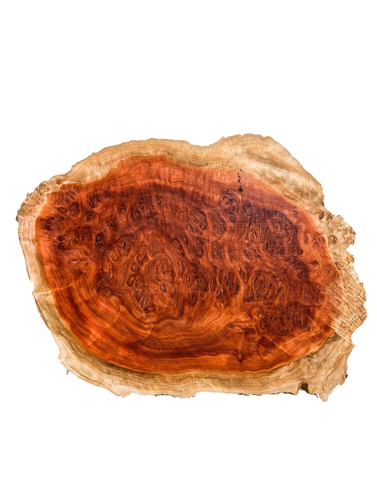 Australian Western Red Box Burl Cap/Bowl Blank - 11" x 8" x 3" WE1038