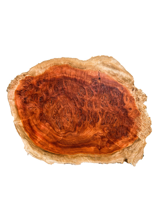 Australian Western Red Box Burl Cap/Bowl Blank - 11" x 8" x 3" WE1038