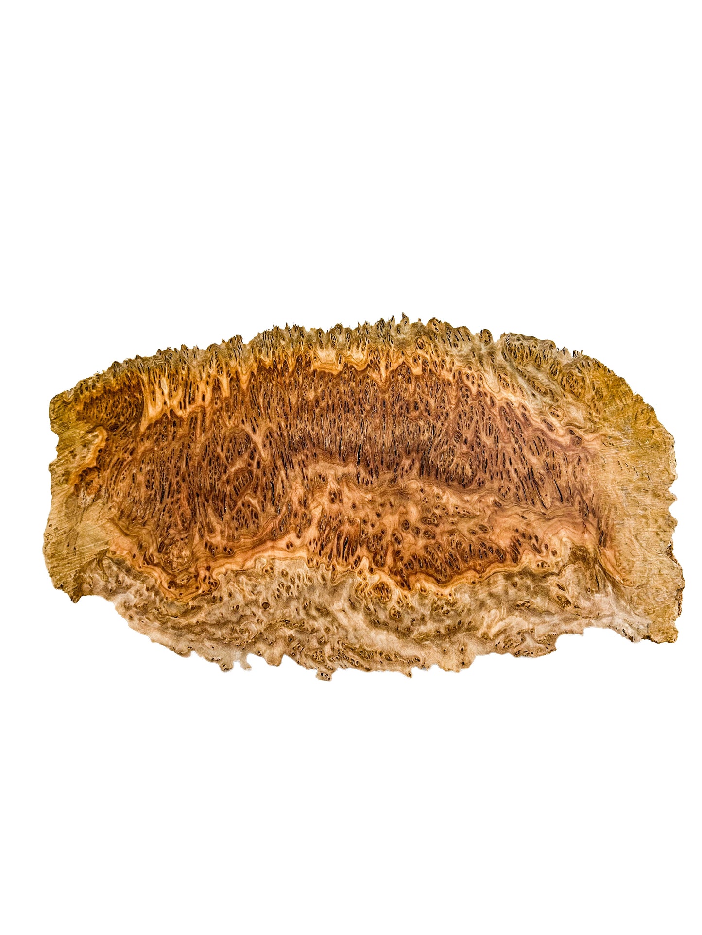 Australian Coolibah Burl Cap/Bowl Blank - 14" x 7.5" x 3" WE1040